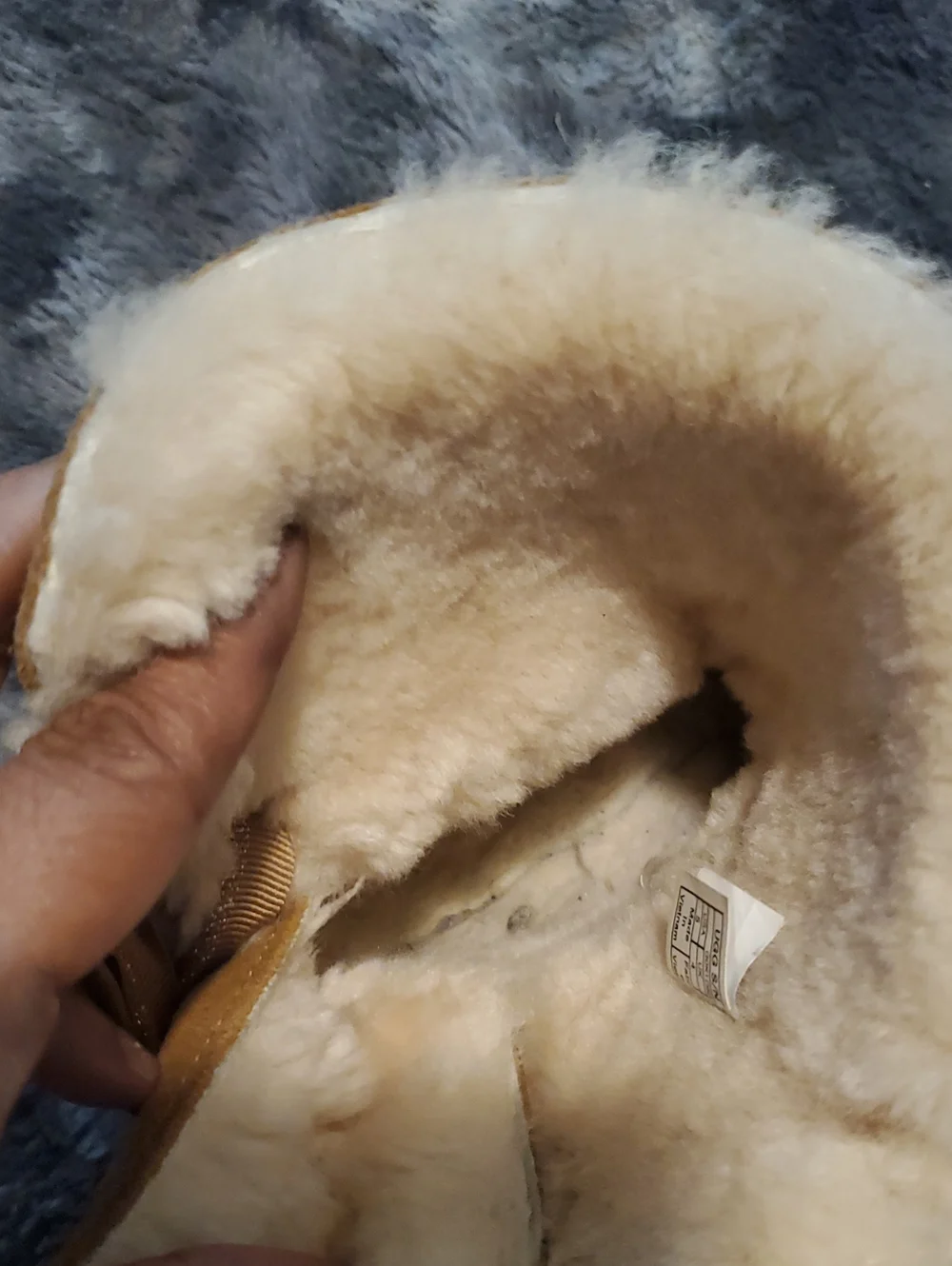 UGG Boot's